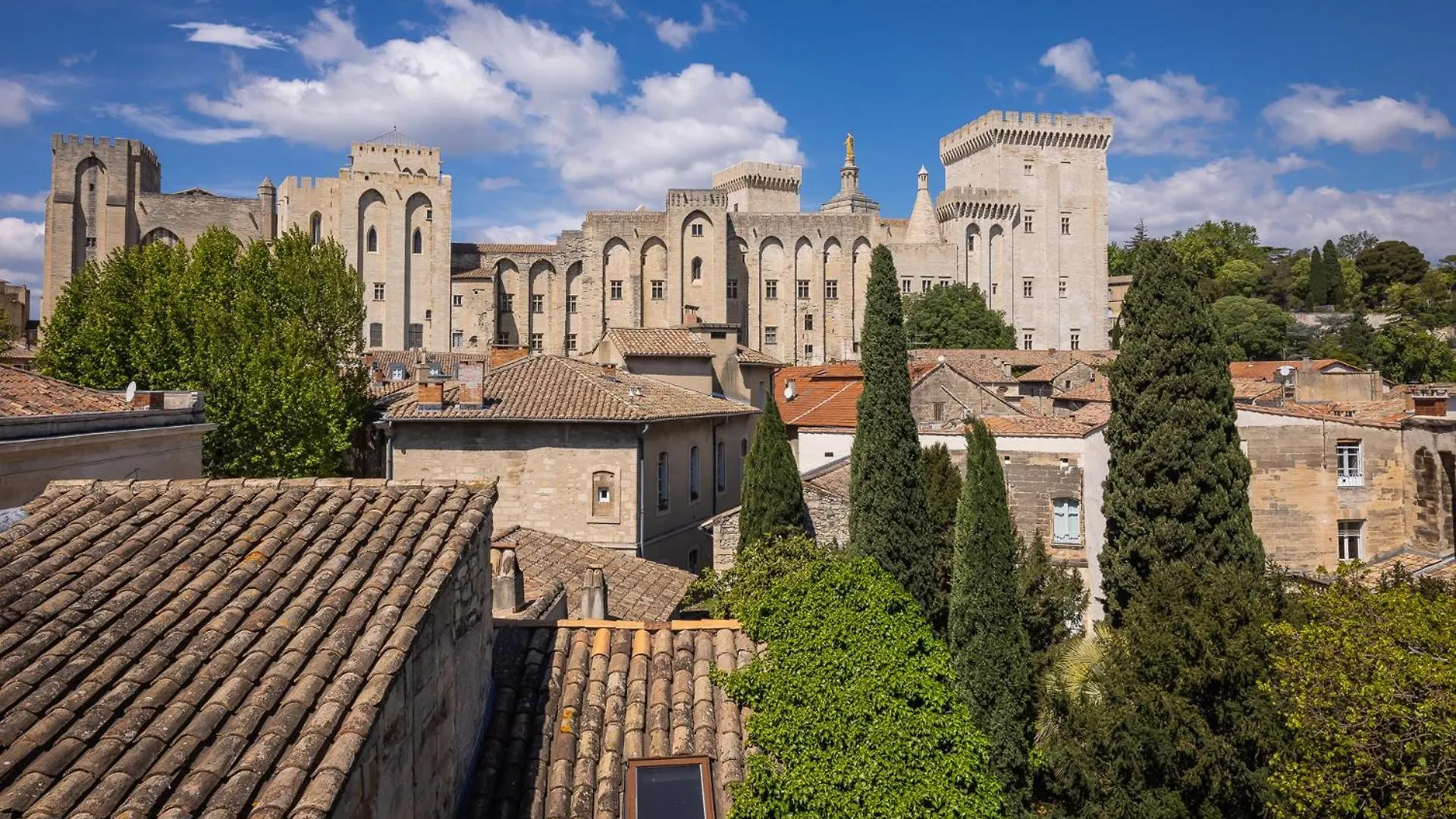 Avignon Intra-Muros, Vue Palais Des Papes